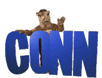 Conncoll Sticker by Connecticut College