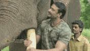 Boss Darshan GIF