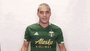 timbersfc soccer mls timbers rctid GIF
