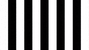 Happy Football GIF by SK Sturm Graz