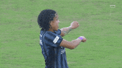 Dance Football GIF by Washington Spirit
