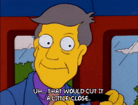 Season 3 Episode 22 GIF by The Simpsons