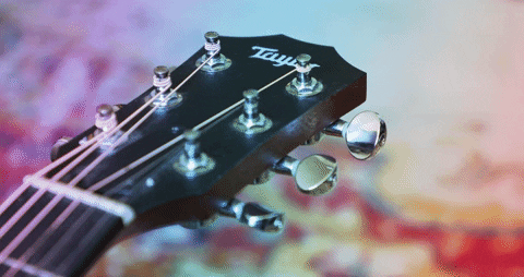 TRUMANVISUALS giphyupload photography guitar taylor GIF