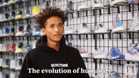 The Evolution Of Humanity 