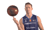 Liga Endesa Spinning Sticker by ACB