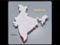 Rahul Gandhi Congress GIF
