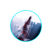 The Dream Sticker by Insomniac Events