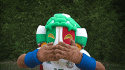 Liga Mx Football GIF by MiSelecciónMX