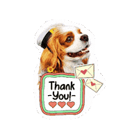 Birthday Cavalierkingcharlesspaniel Sticker