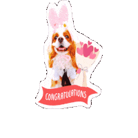 Birthday Cavalierkingcharlesspaniel Sticker