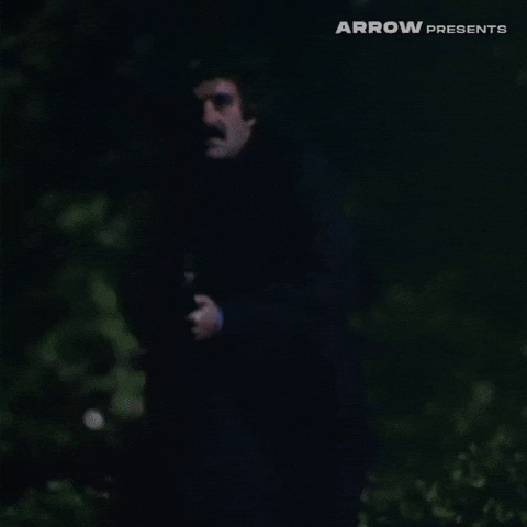 James Caan Film GIF by Arrow Video