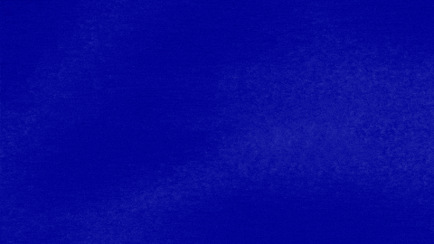 The Whole Truth GIF by Jeopardy!