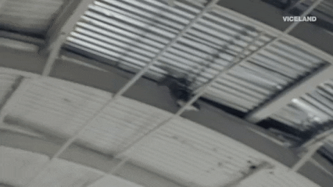 GIF by FLOPHOUSE