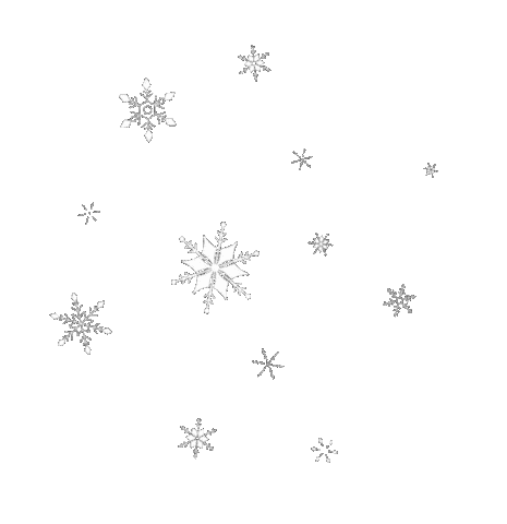Frosted Flakes Winter Sticker by momopi