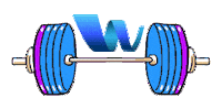 academiawellnessclub wellness academiawellness Sticker
