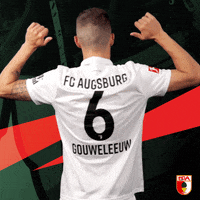 Football Bundesliga GIF by FC Augsburg 1907