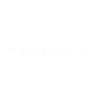 Pelipaiva Sticker by Ilves
