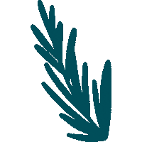 Summer Plant Sticker