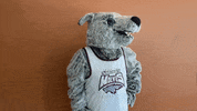 Waving Wolf Pack GIF by Cardinal Stritch University