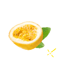 Maracuja Sticker by Novex Hair Care