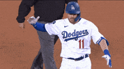 Los Angeles Sport GIF by MLB