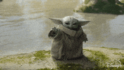 Star Wars Disney Plus GIF by Disney+