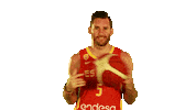 World Cup Game Sticker by FIBA