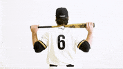 Ncaa Baseball Celebration GIF by Purdue Fort Wayne Athletics
