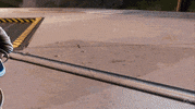 Grow Battle Royal GIF by Xbox