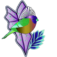 Amazonas Sticker