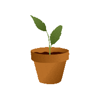 Grow Good Morning Sticker