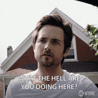 season 3 showtime GIF by Shameless