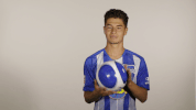 Hertha Berlin Sport GIF by Hertha BSC