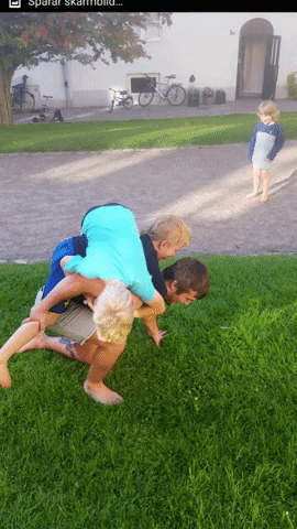 maximilianygdell giphygifmaker GIF