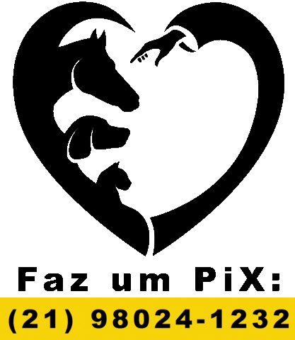 Pix Sticker by GARRA