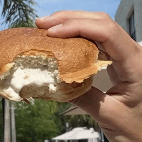 ssbmiami icecream sandwich bun icecreamsandwich GIF