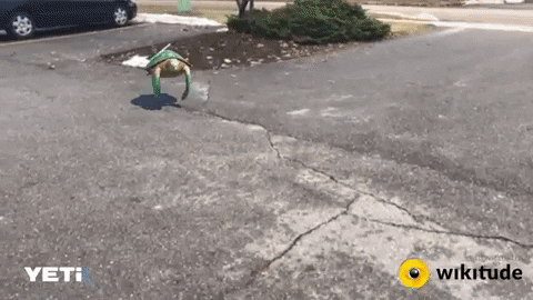 wikitude slam instanttracking GIF by Wikitude