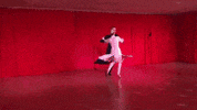 anastassiaballroom dance ballroom chacha ballroom dancing GIF