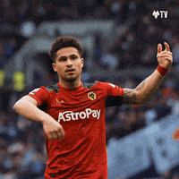 Premier League Yes GIF by Wolves