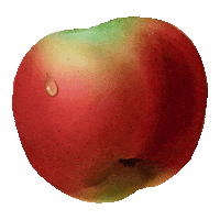 Quebec Cider Sticker by Cidre Lacroix