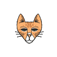 Cat Kitty Sticker