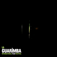 Short Film Hello GIF by La Guarimba Film Festival