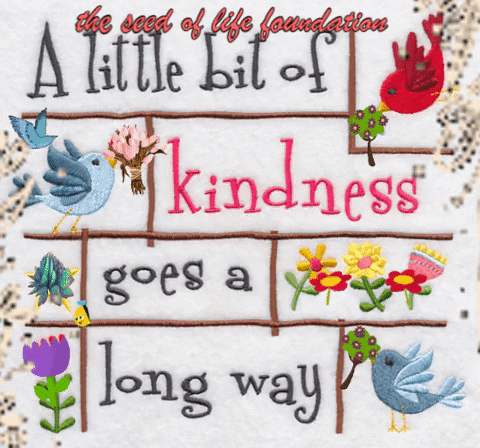 Food Help GIF by The Seed of Life Foundation