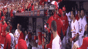 stl GIF by MLB