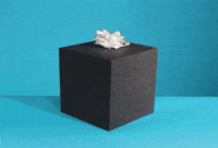 Gift Middle Finger GIF by Birthday Bot