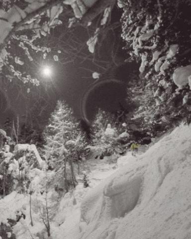 nicovuignier giphyupload GIF