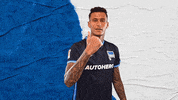 Bundesliga Berlin GIF by Hertha BSC