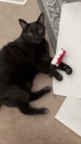 Black Cat Cleaver GIF