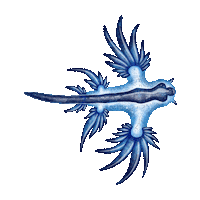 Sea Slug Ocean Sticker