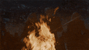 hbo GIF by Game of Thrones